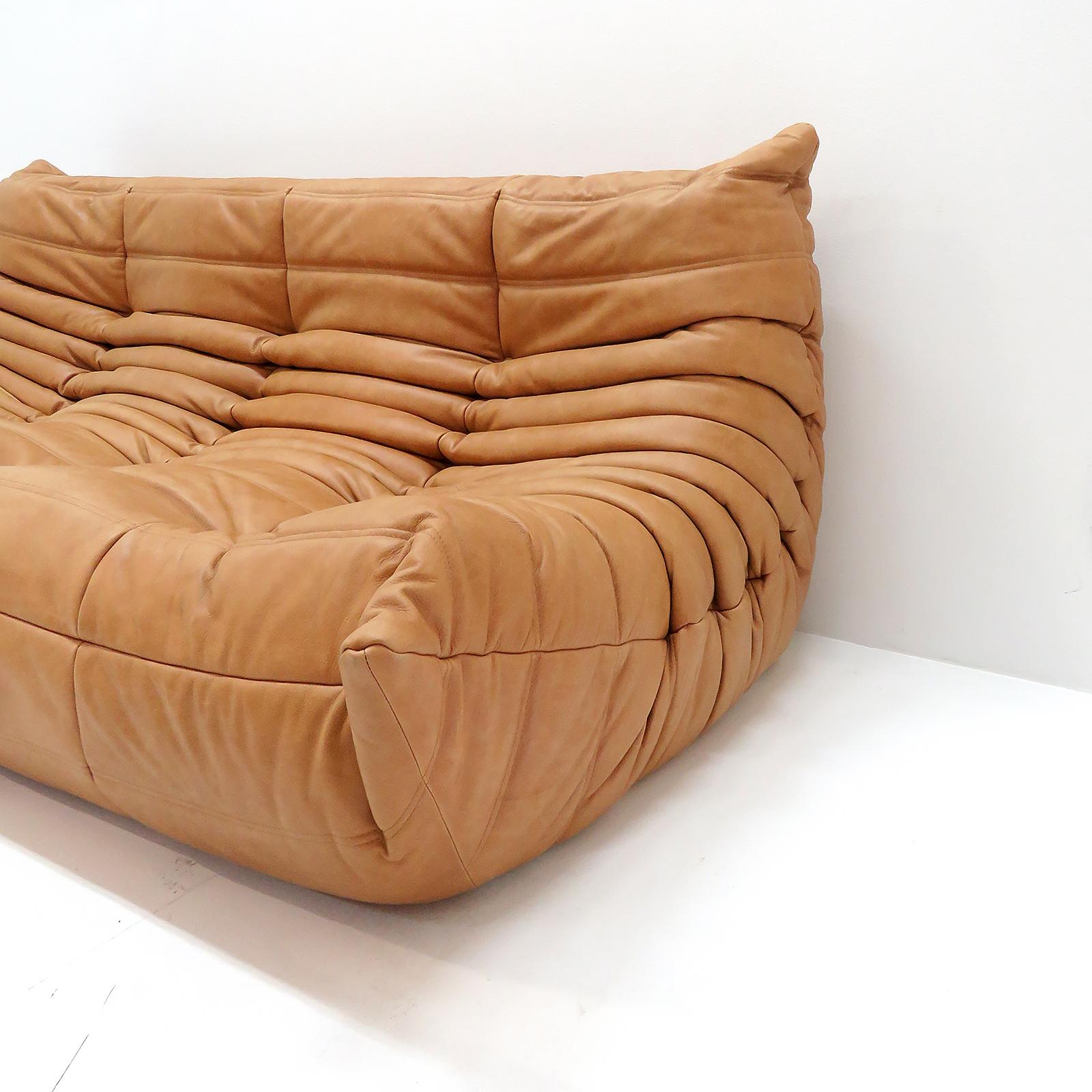 Three-Seater Sofa 'Togo' by Michel Ducaroy for Ligne Roset For Sale 2