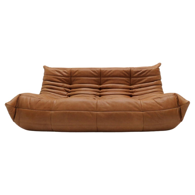 Three-Seater Sofa 'Togo' by Michel Ducaroy for Ligne Roset For Sale at  1stDibs