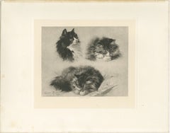 "Three Studies of a Kitten" - Cats and Kittens by Henriette Ronner (1894)