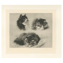 "Three Studies of a Kitten" - Cats and Kittens by Henriette Ronner (1894)
