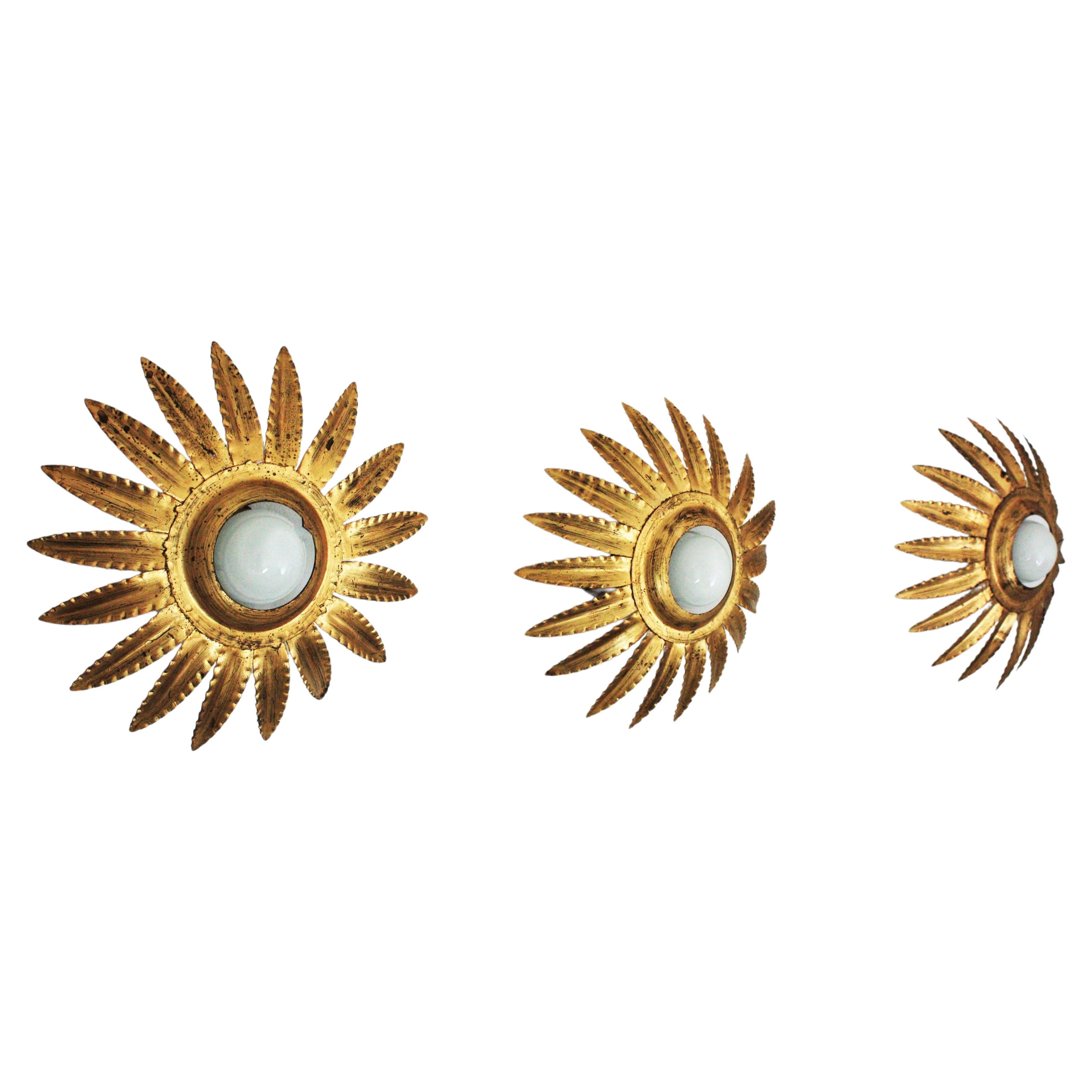 Drei Sunburst Starburst-Leuchten aus vergoldetem Metall