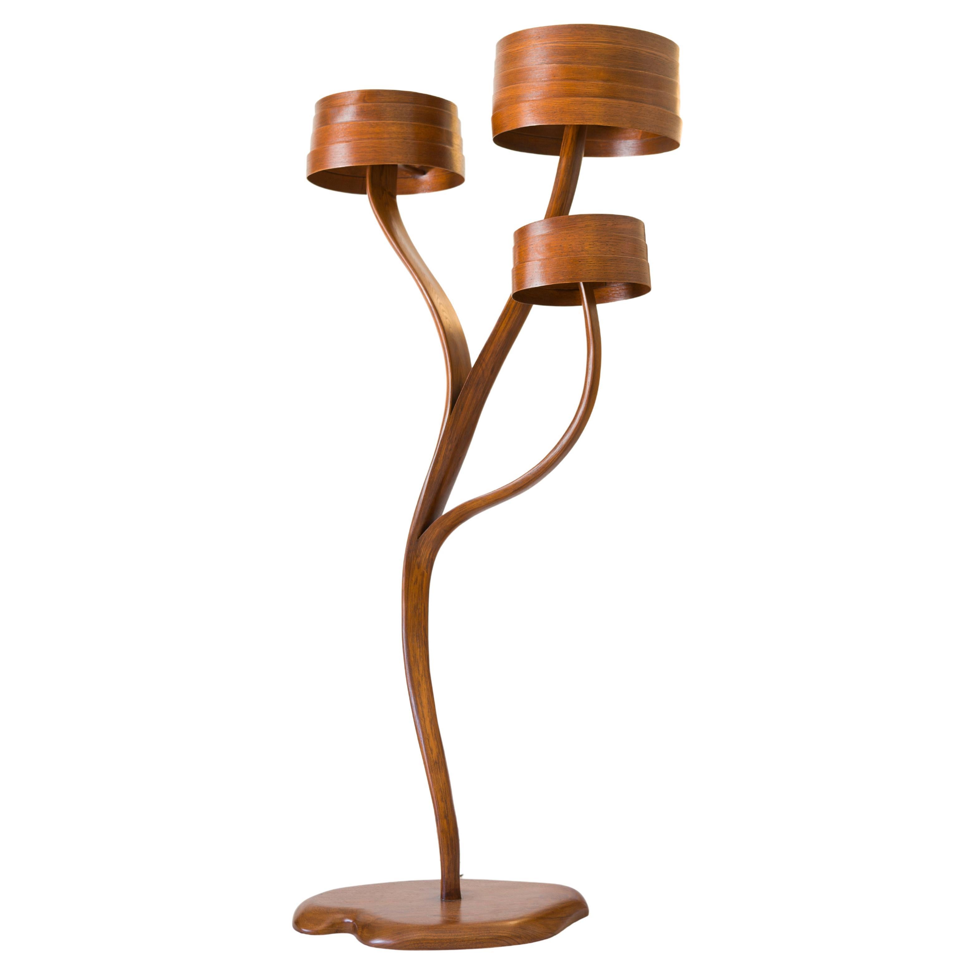 Three tear Floor Lamp No 3 - Bend wood Floor Lamp  For Sale