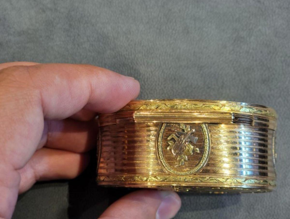 Three-Tone Gold Oval Enamel Snuff Box For Sale 6