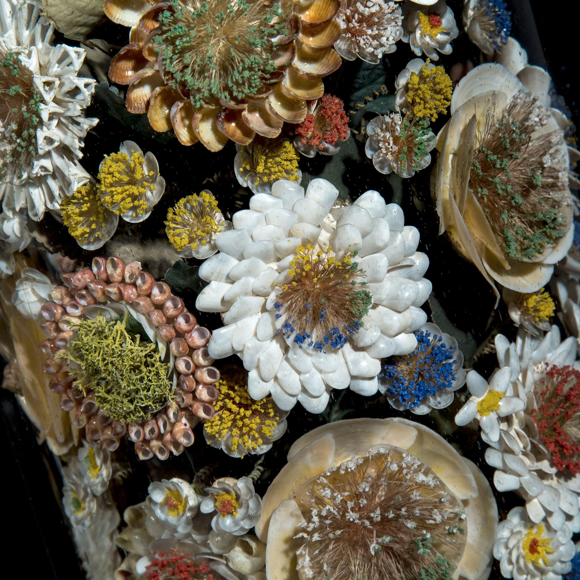 British Three Victorian Shellwork Flower Arrangements