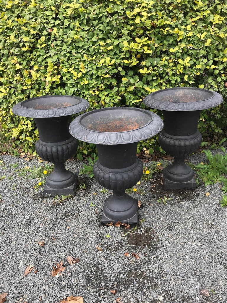 Three Vintage Large Black Cast Iron Neoclassical Urn Planters at 1stDibs