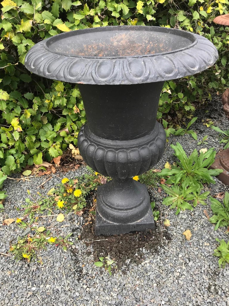 Three Vintage Large Black Cast Iron Neoclassical Urn Planters at