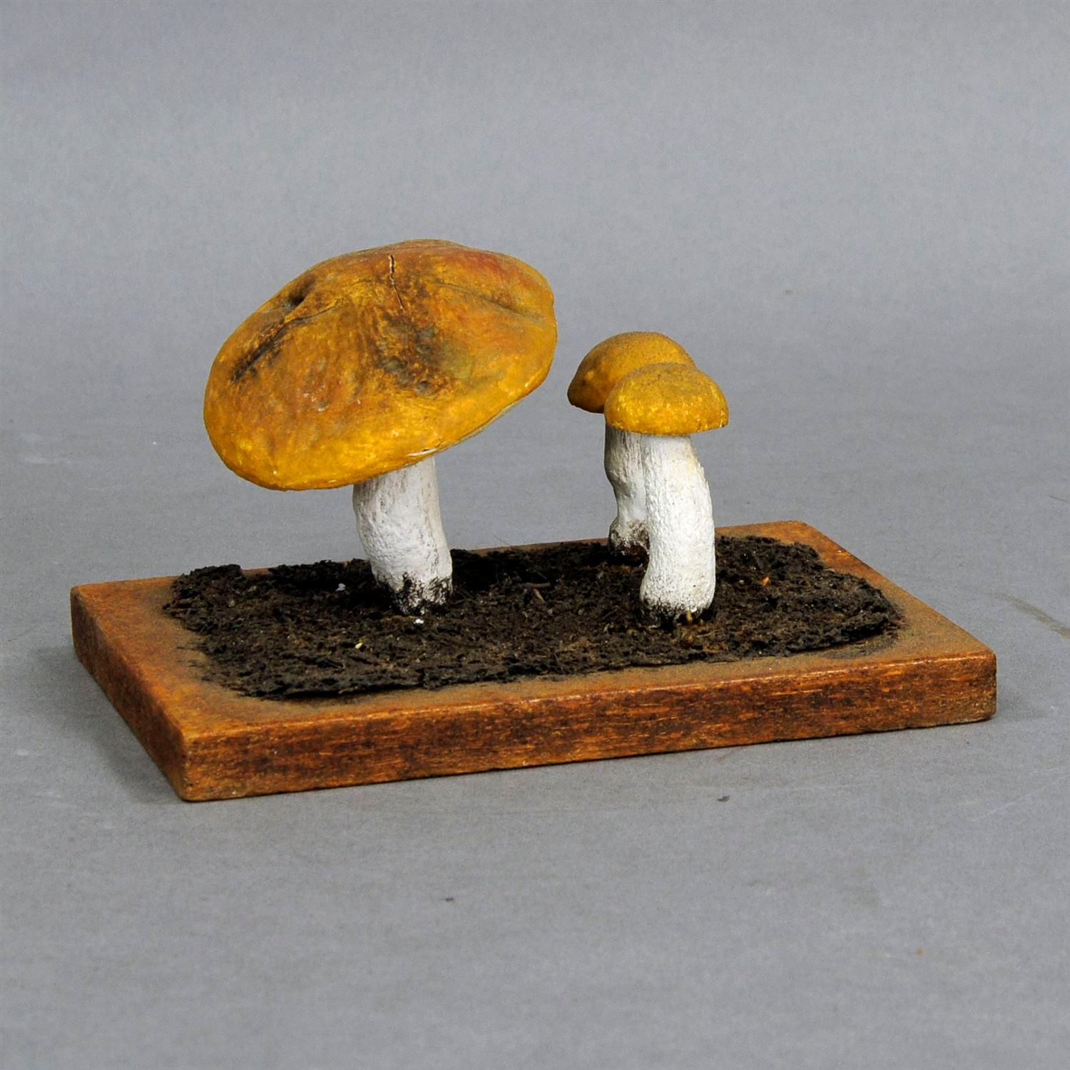 Three Vintage Mushrooms School Model Scientific Specimen In Excellent Condition In Berghuelen, DE