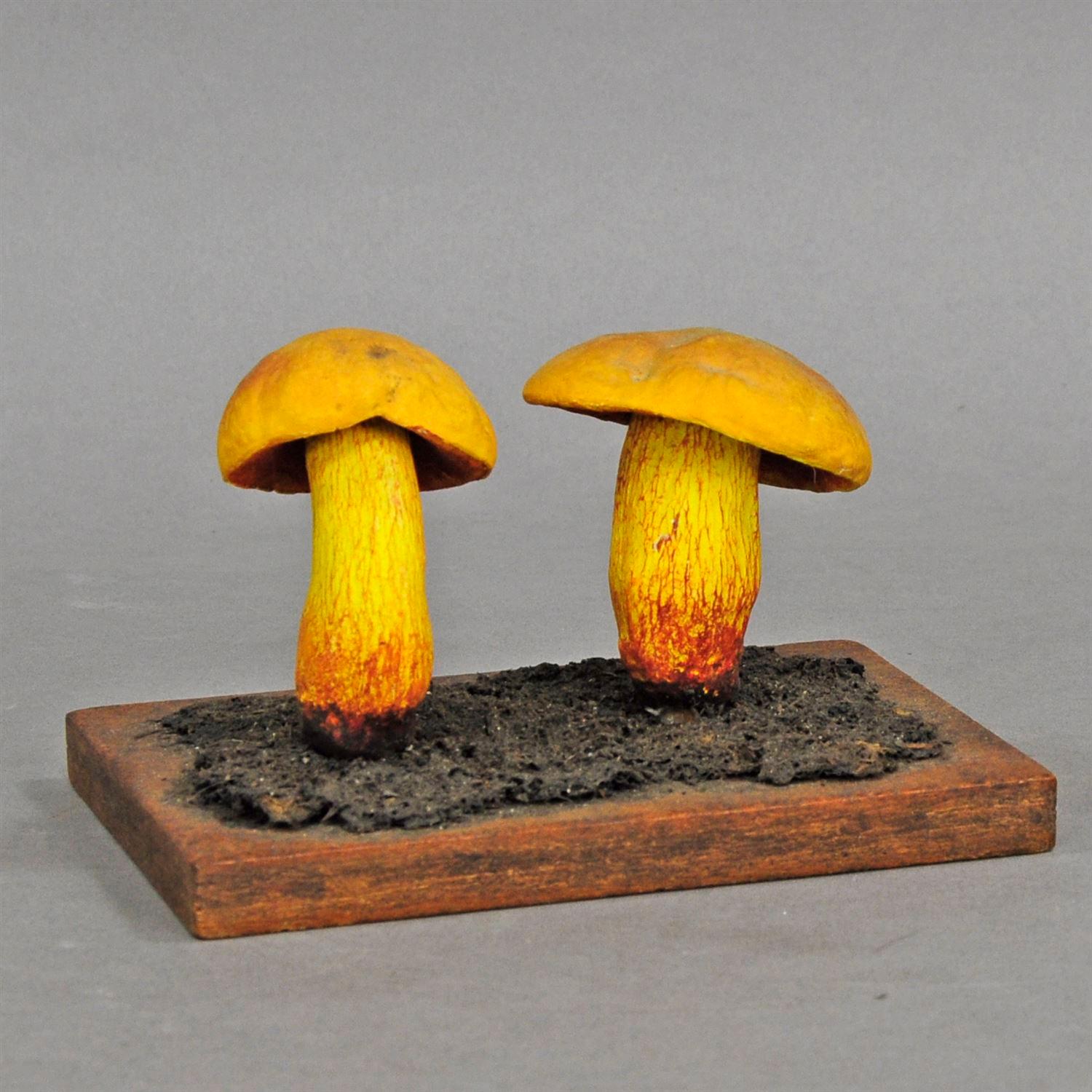 Wood Three Vintage Mushrooms School Model Scientific Specimen