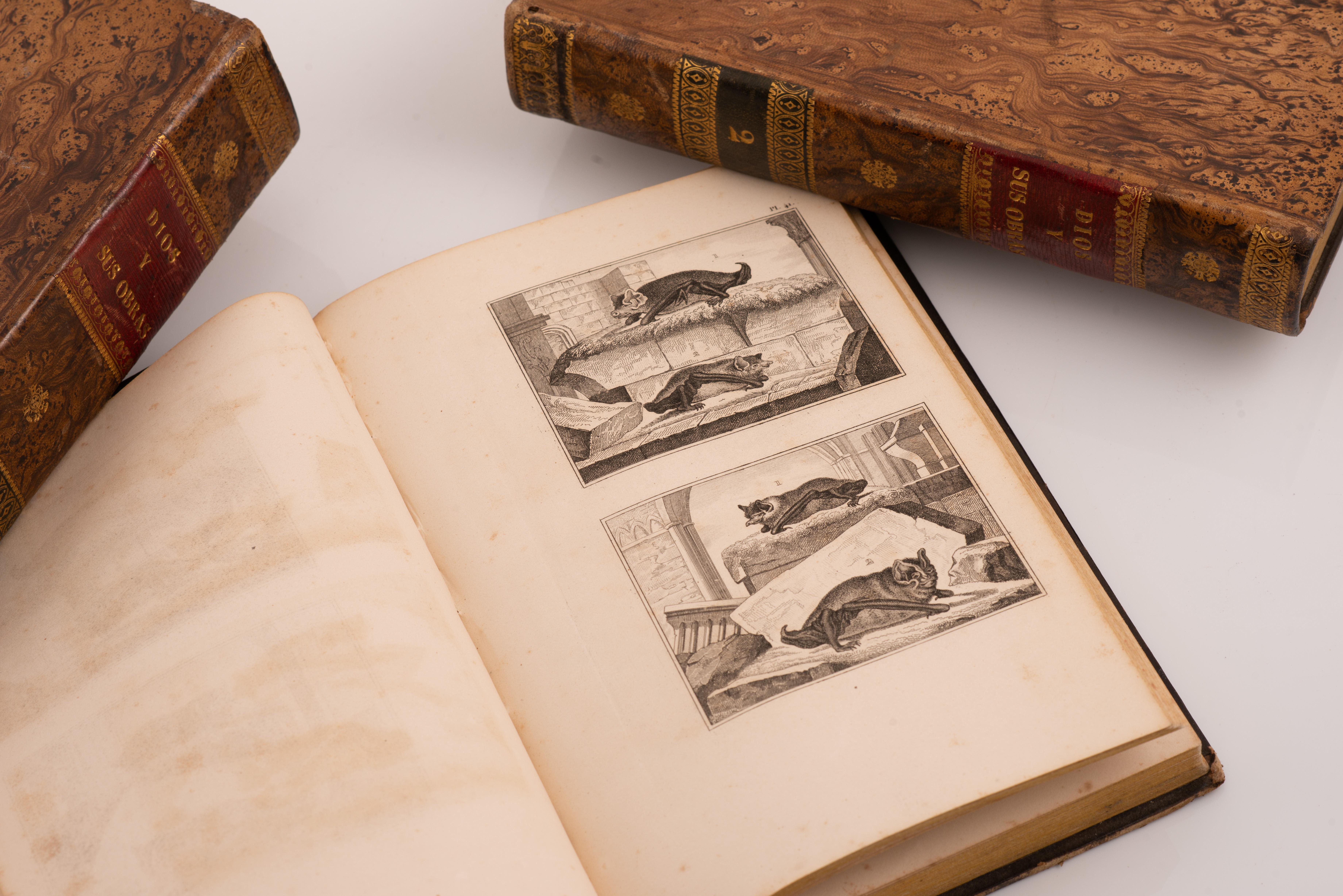 Three volumes, Dios y sus obras(…). Barcelona, J. Verdaguer, 1843 and 1841. For Sale 5