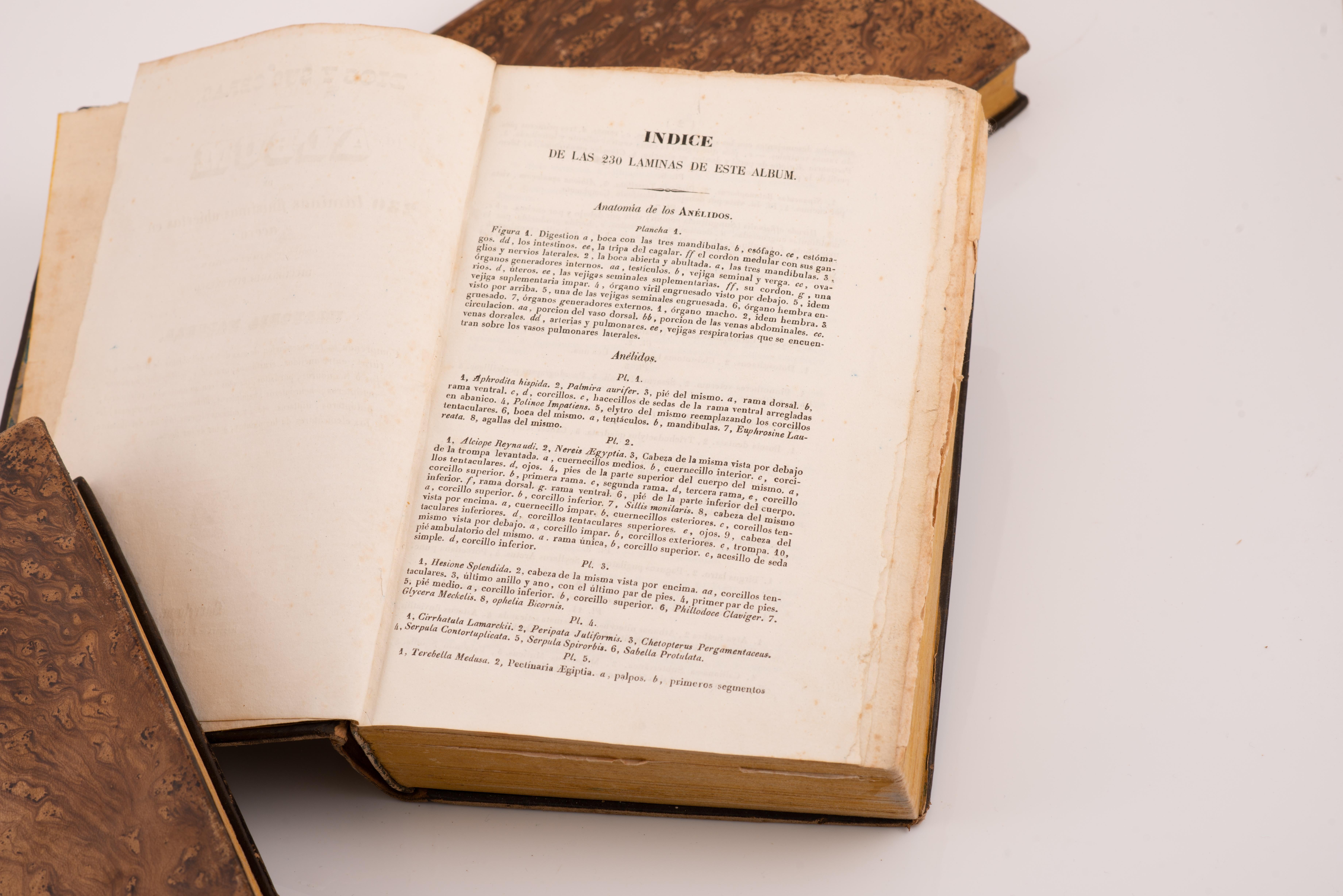 Other Three volumes, Dios y sus obras(…). Barcelona, J. Verdaguer, 1843 and 1841. For Sale