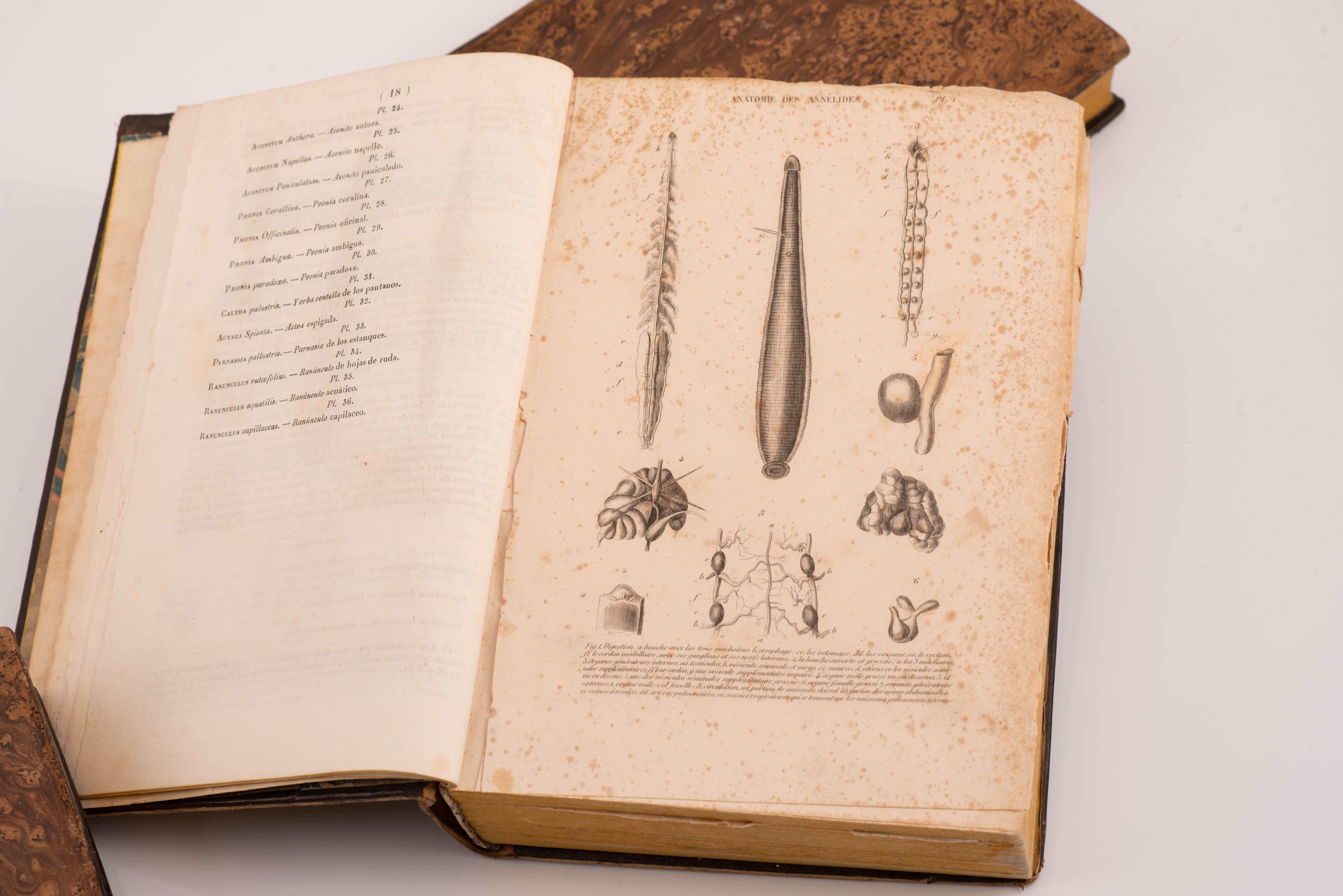 Spanish Three volumes, Dios y sus obras(…). Barcelona, J. Verdaguer, 1843 and 1841. For Sale