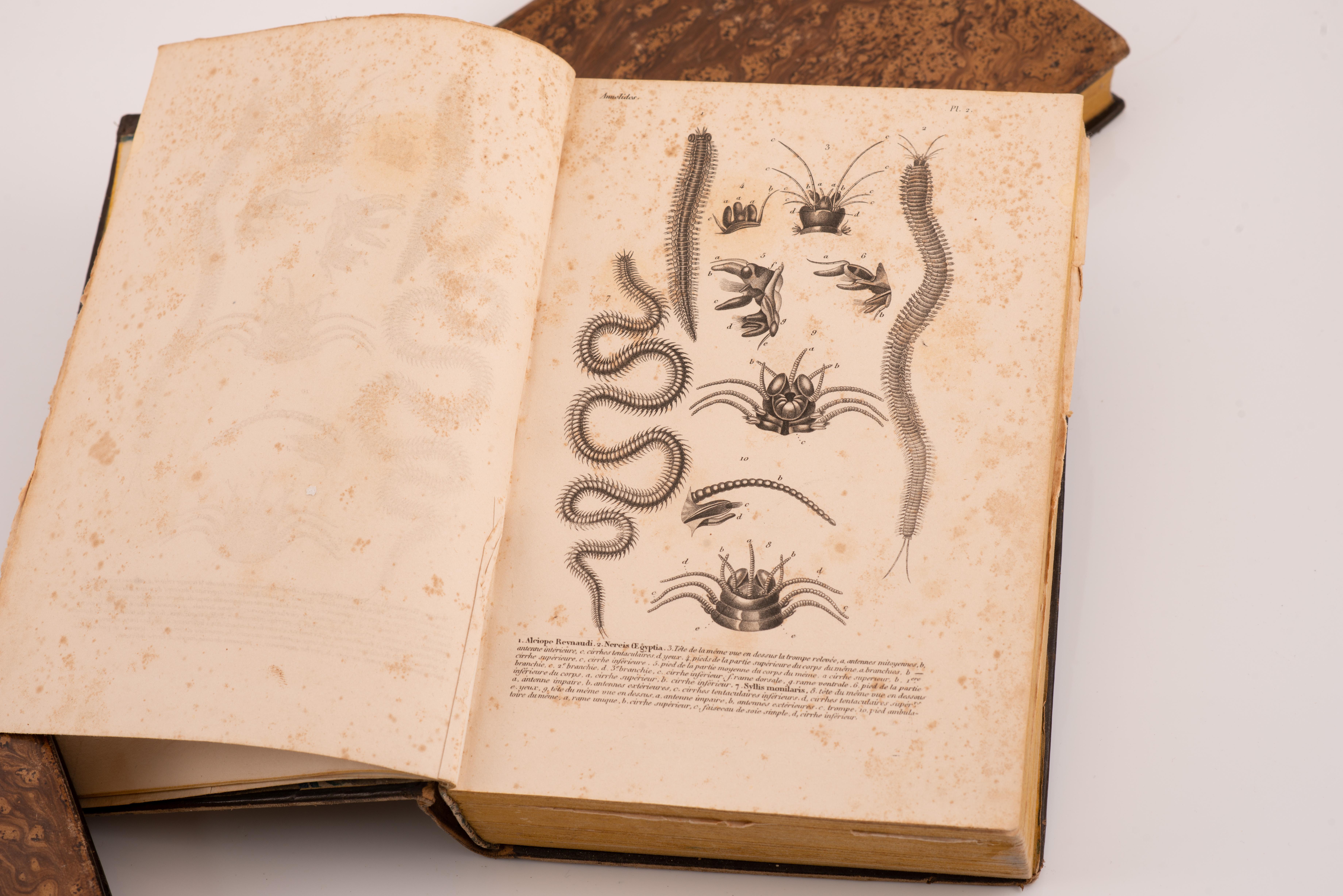 Three volumes, Dios y sus obras(…). Barcelona, J. Verdaguer, 1843 and 1841. In Fair Condition For Sale In Madrid, ES