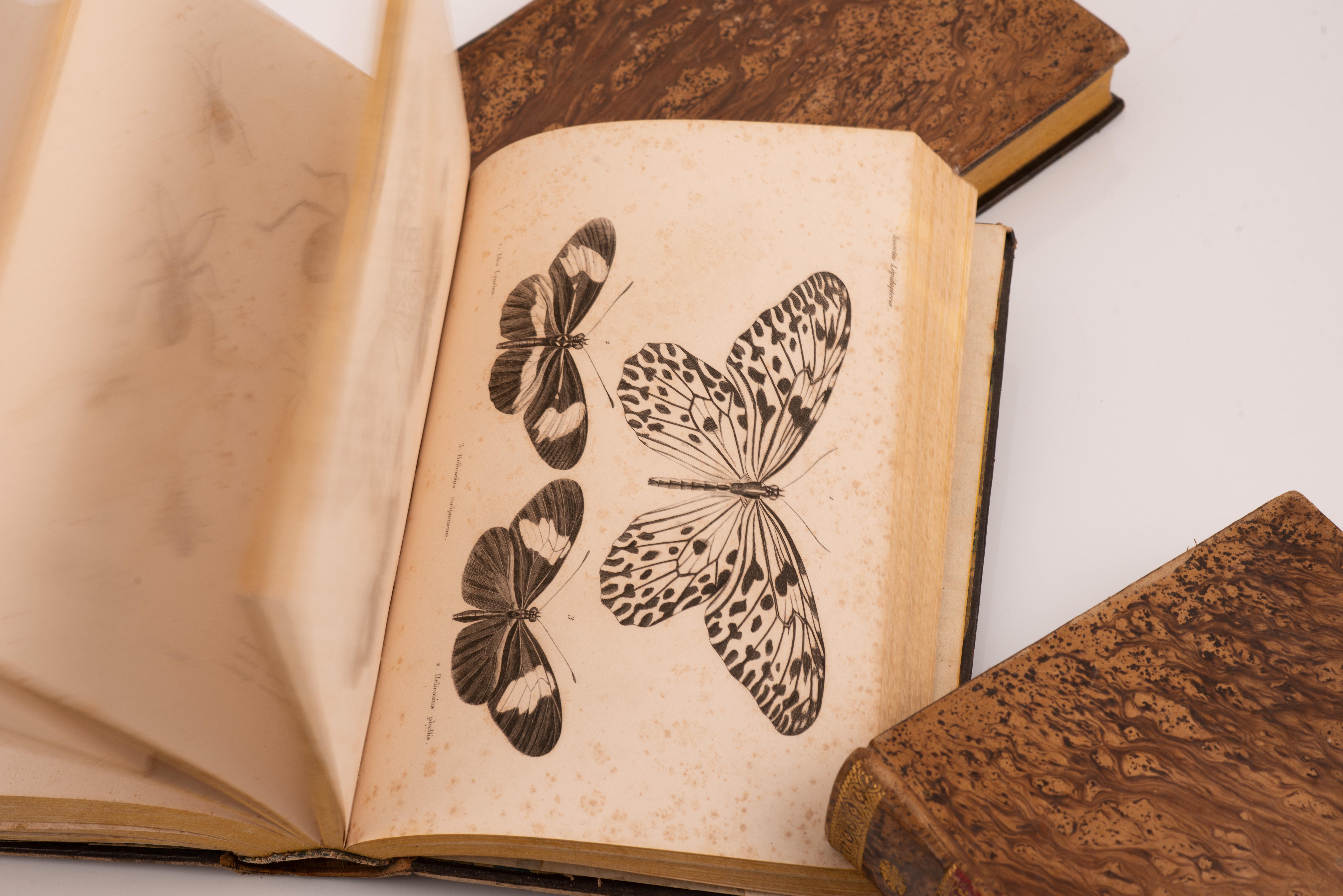 Other Three volumes, Dios y sus obras(…). Barcelona, J. Verdaguer, 1843 and 1841. For Sale