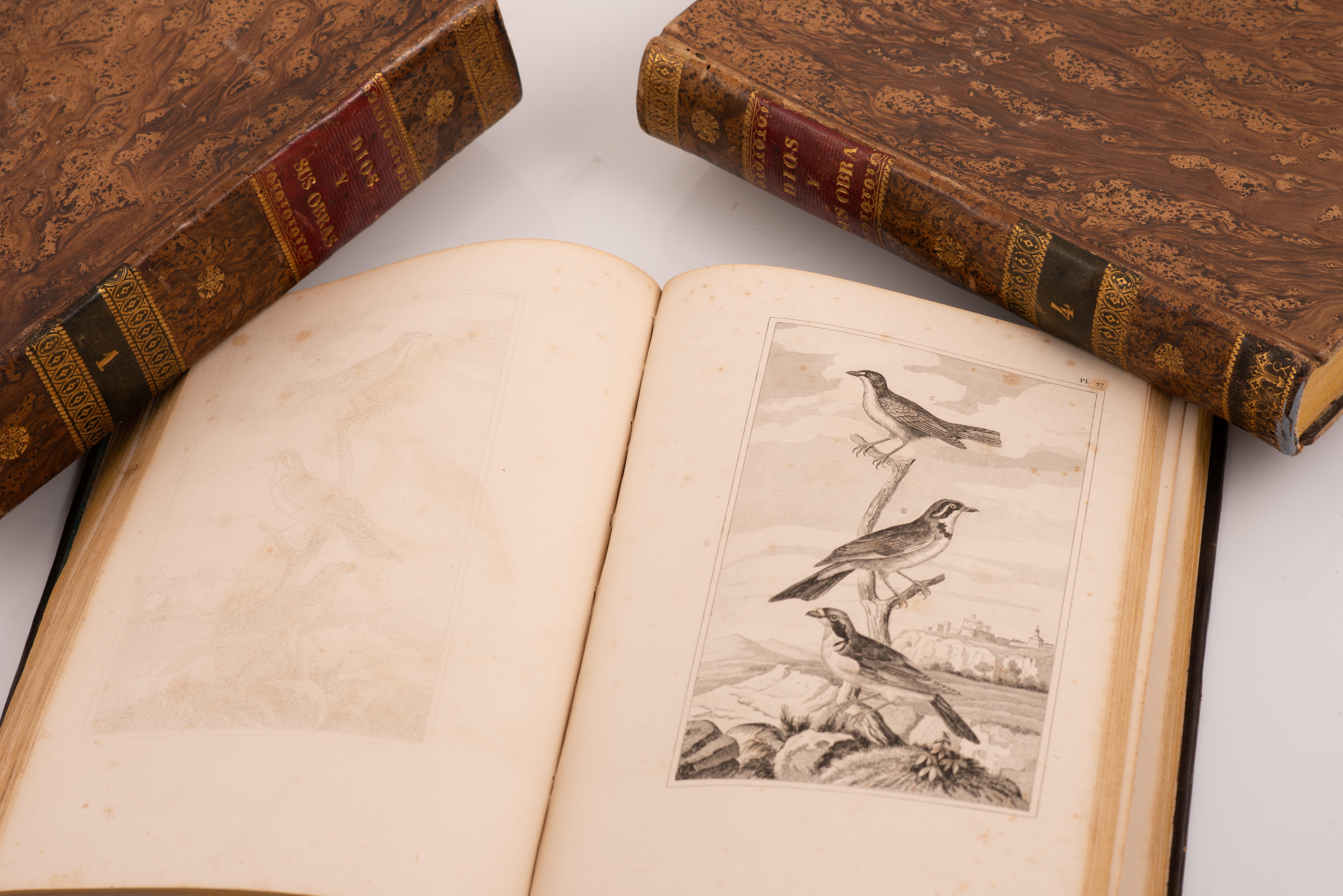 Three volumes, Dios y sus obras(…). Barcelona, J. Verdaguer, 1843 and 1841. For Sale 1