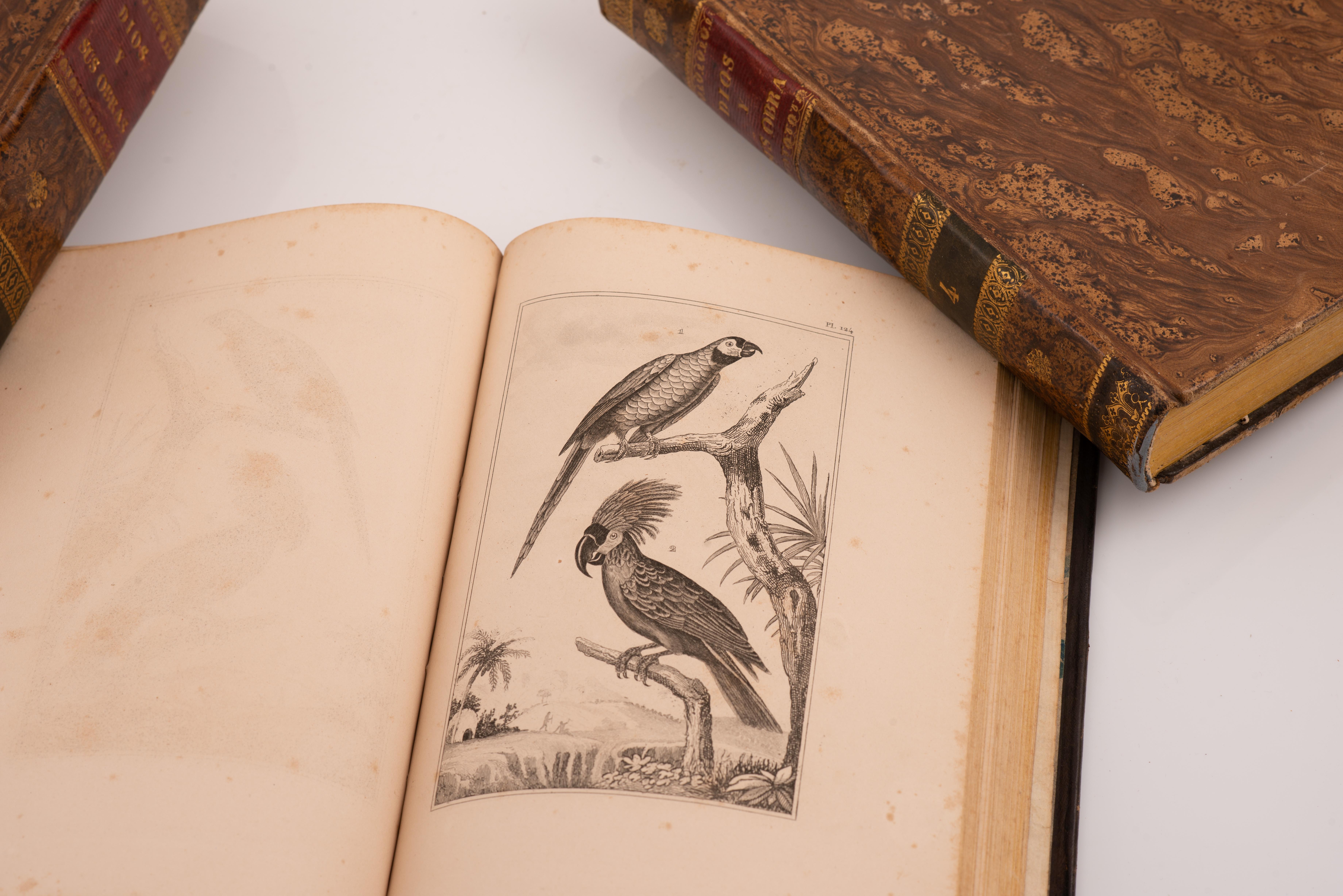 Three volumes, Dios y sus obras(…). Barcelona, J. Verdaguer, 1843 and 1841. For Sale 2