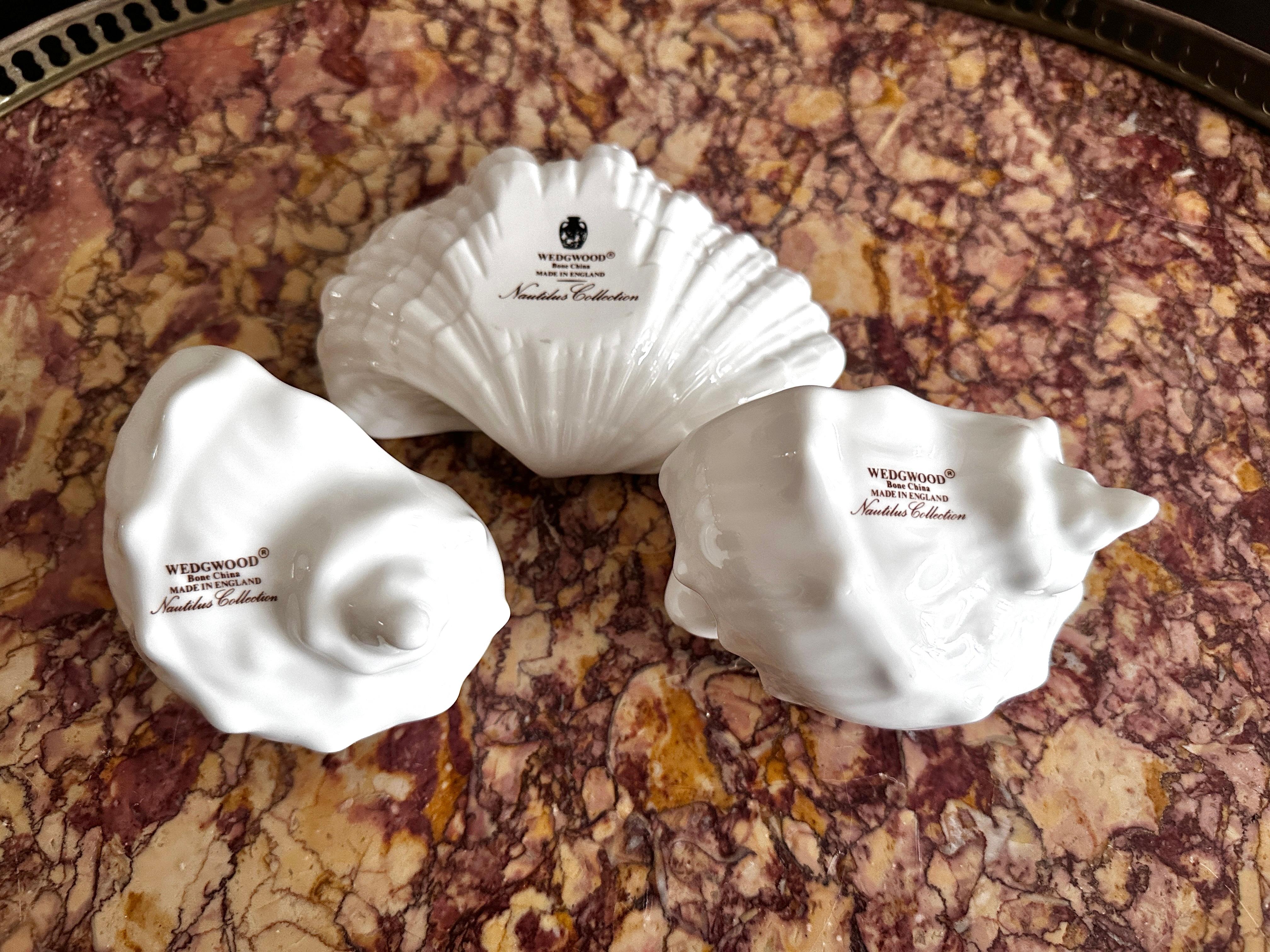 Trois coquillages de la collection Nautilus de Wedgwood Bone China en vente 7