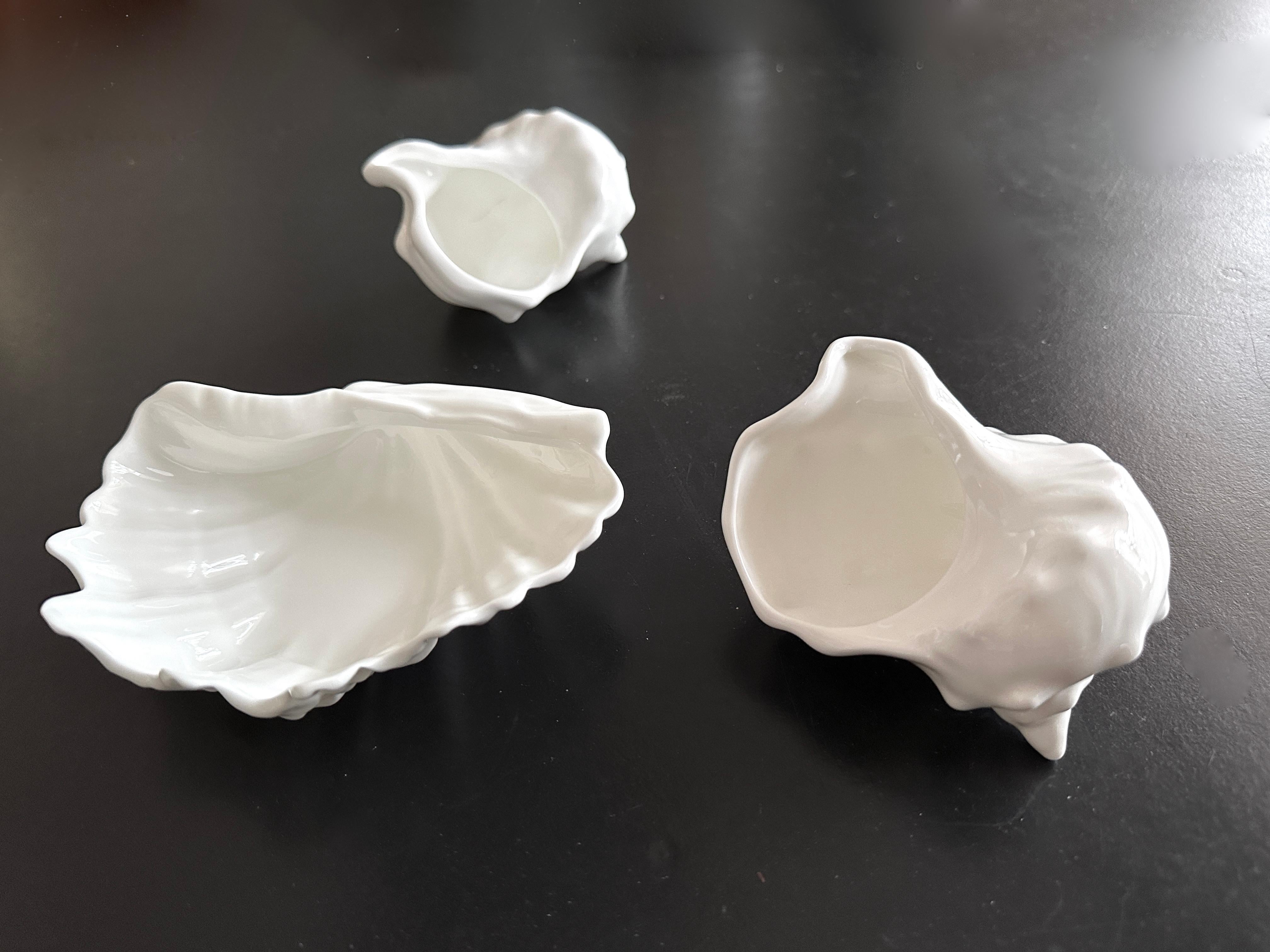 American Classical Three Wedgwood Bone China Nautilus Collection Shells For Sale