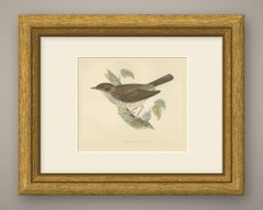 Thrush Nightingale on a Mossy Branch, Antique Morris Bird Print, 1896