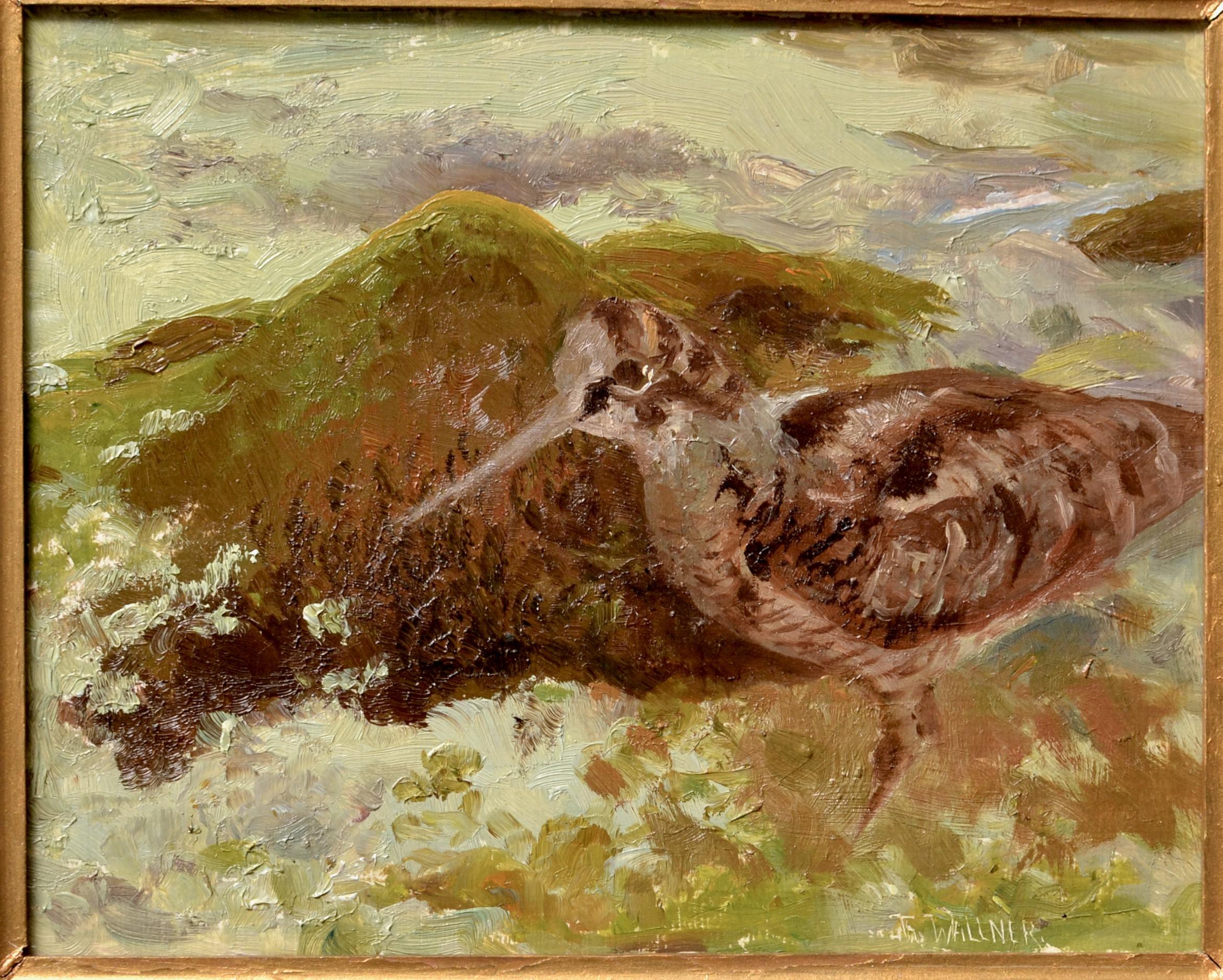 Chocha perdiz zancuda - Painting de Thure Wallner