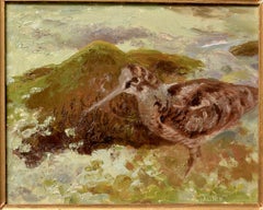 Eurasian Woodcock Wading