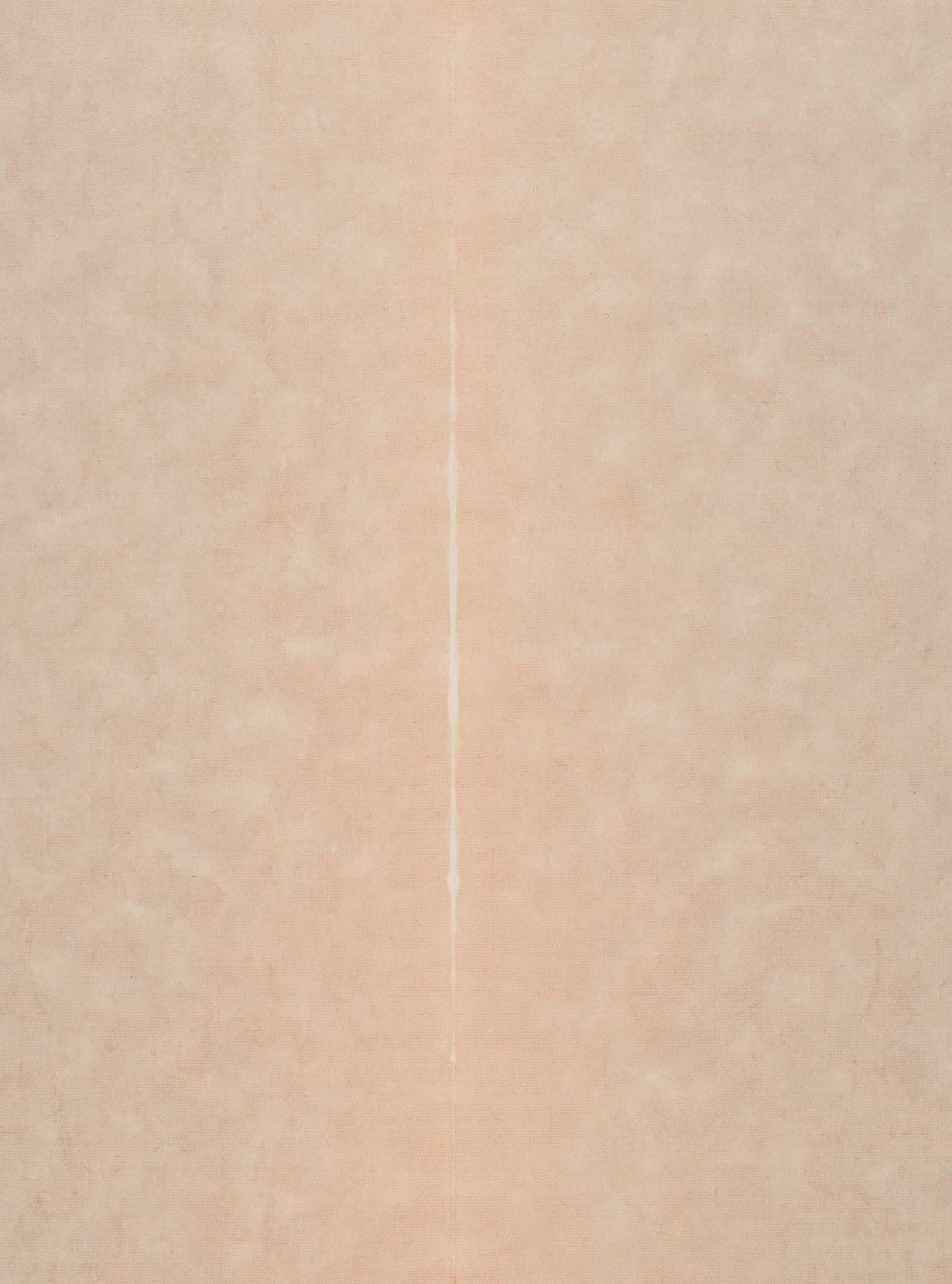 Pittura astratta contemporanea a inchiostro di Tian Wei - Paesaggio di montagna Xixia No.5 in vendita 2