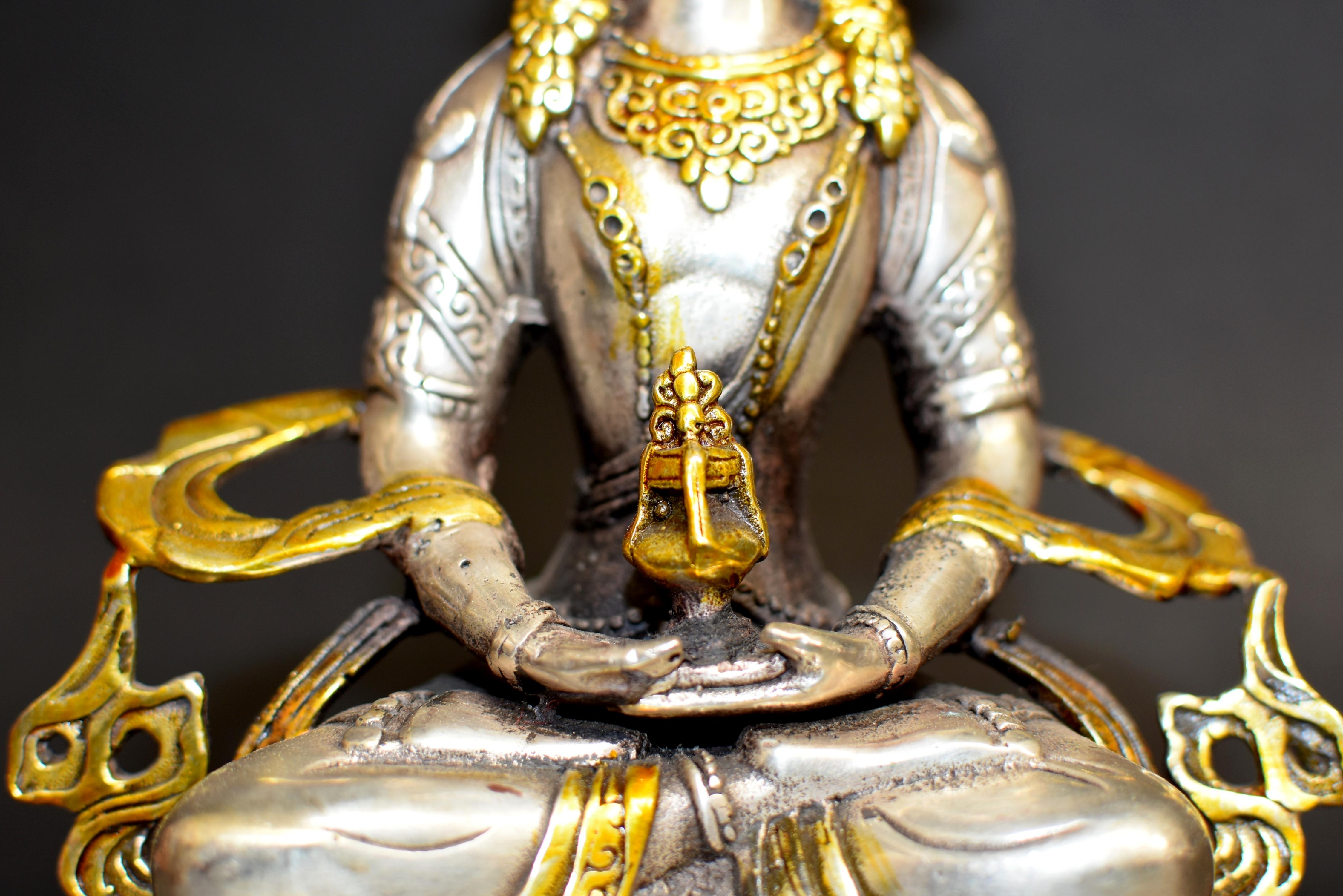Tibetan Buddha of Long Life Amitayus Gold Tone Silver Bronze  8