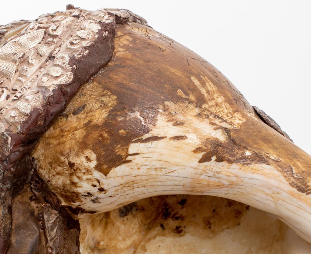 Tibetan Buddhist Silver Covered Shell Horn, 19th C 4