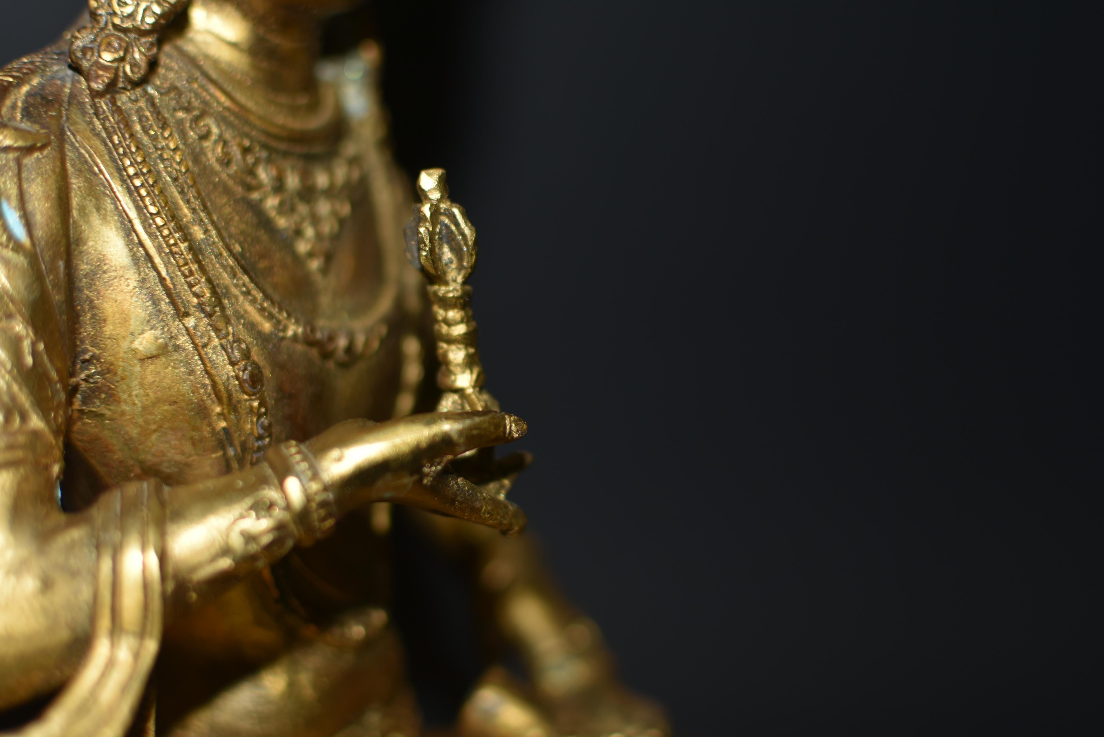 Tibetan Protective Buddha Vajrasattva Gilt Bronze 13