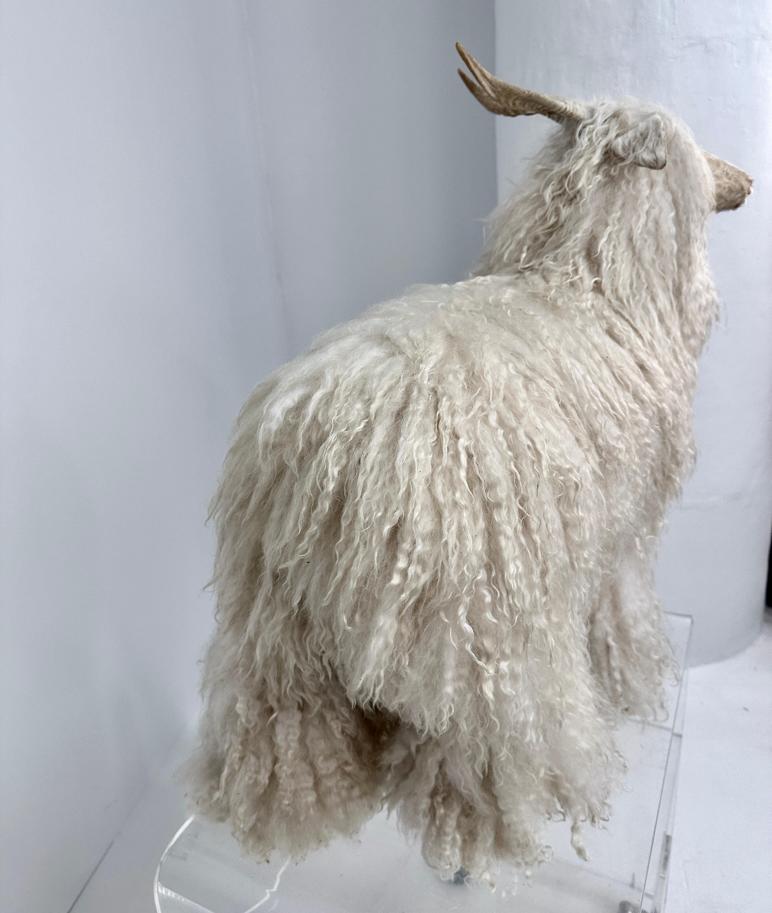 Tibetan Sheep Footstool w/ Natural Sheep Horns For Sale 2