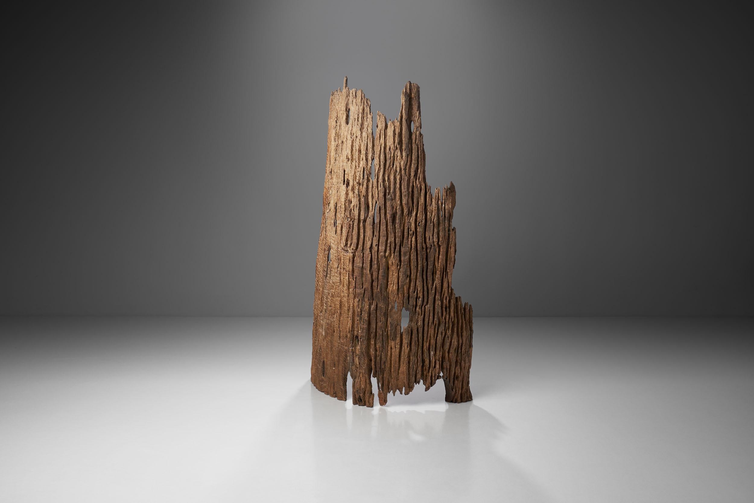 This tree bark room divider from Tibet is quite the literal and visual manifestation of the expression ‘historical furniture’. With nature as its designer and manufacturer, this piece is exceptional in every single way.

With today’s standards,