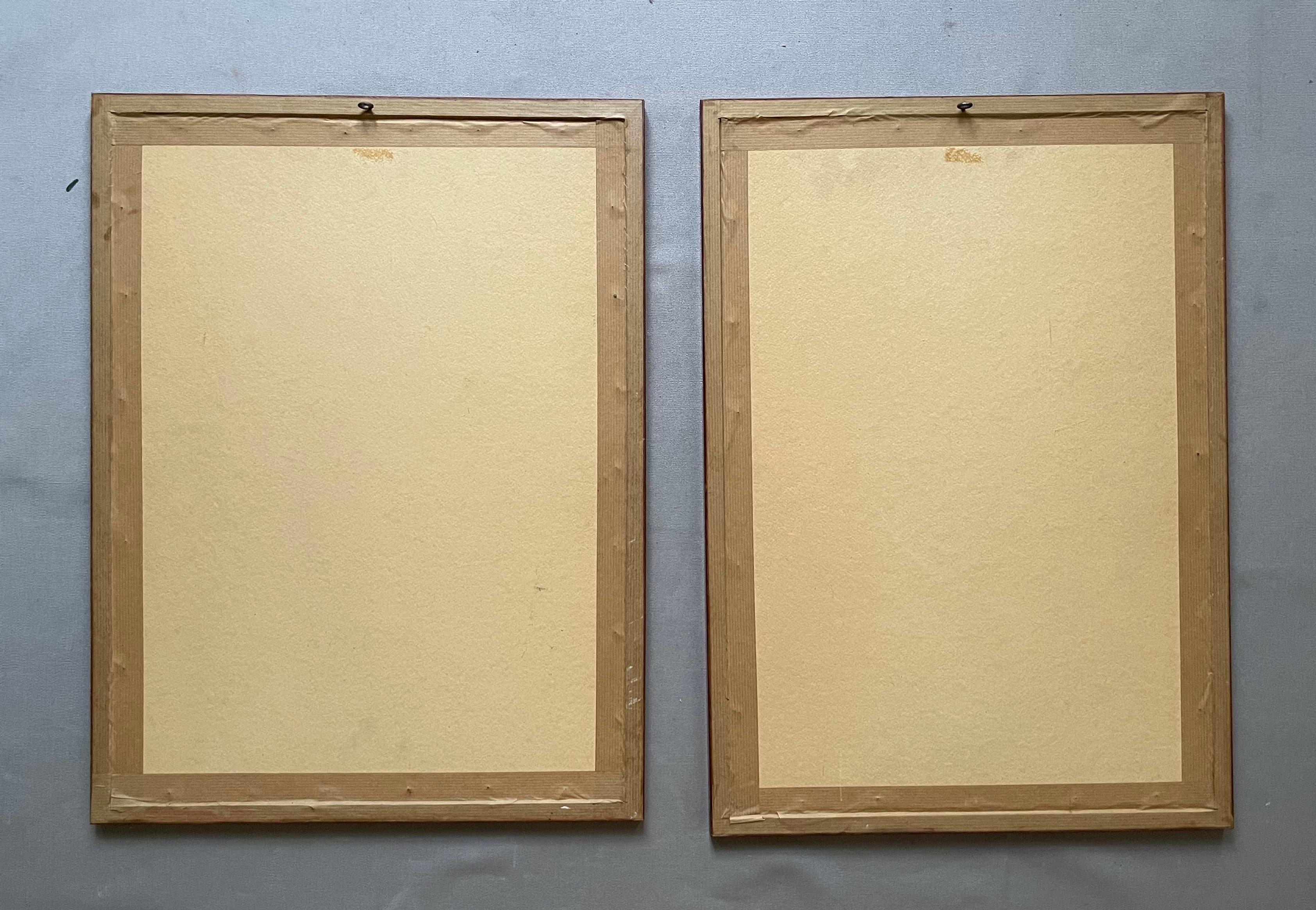 Dos litografías botánicas, Flora de América en venta 15