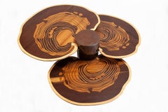 Tiered Maitake Reclaimed Teak Coffee Table