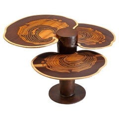 Tiered Maitake Reclaimed Teak Coffee Table