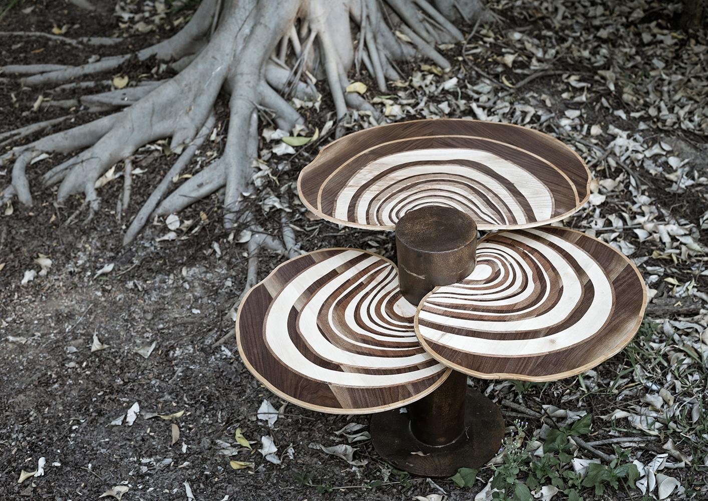 Indian Tiered Maitake Walnut Coffee Table For Sale