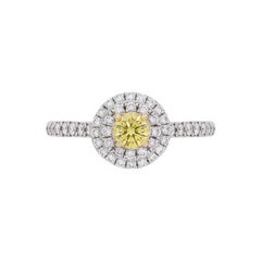 Tiffany & Co. Soleste Double Halo Diamond Ring