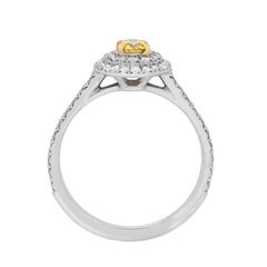 Tiffany & Co. Soleste Double Halo Diamond Ring