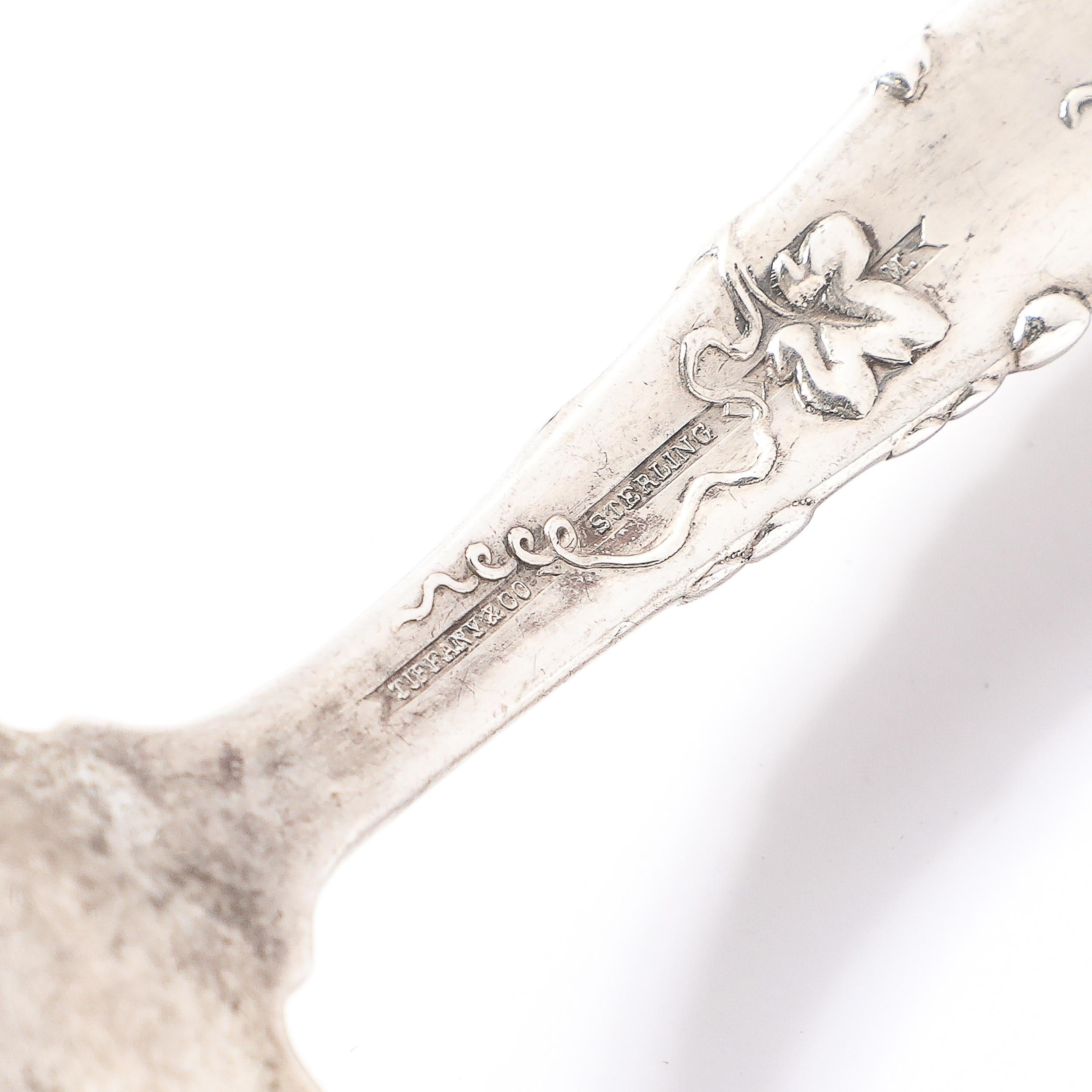 Tiffany & Co. 19. Jahrhundert Sterling Silber Servierlöffel in 