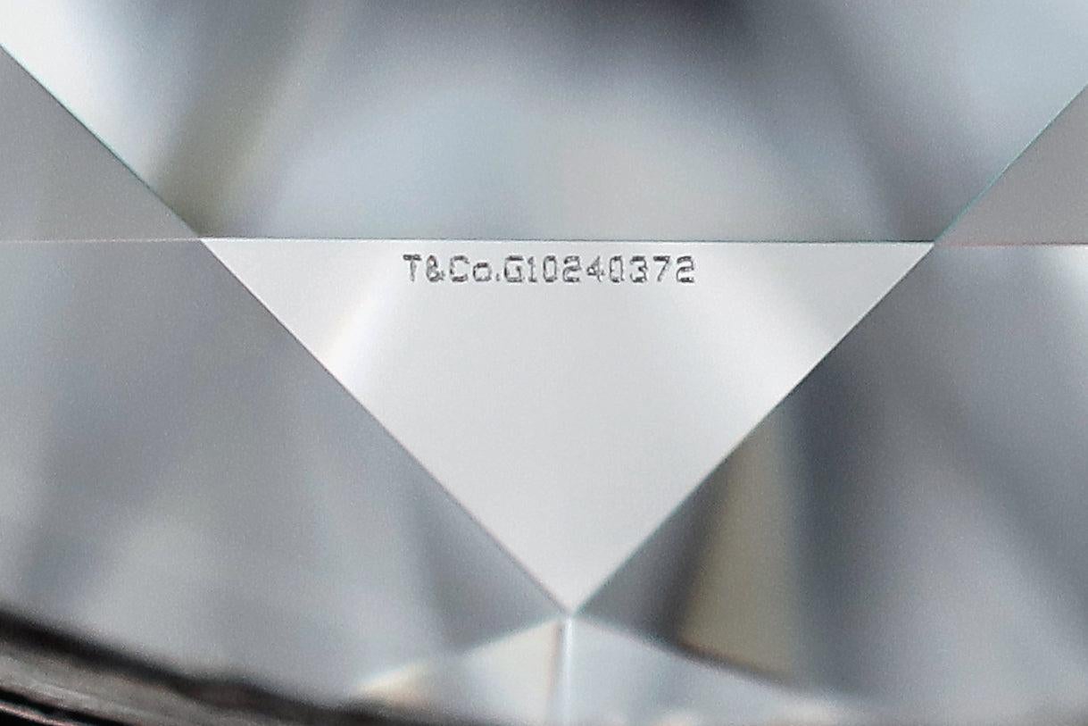 Tiffany and Co. Etoile Platinum Round Diamond Engagement Ring .29ct For Sale 2