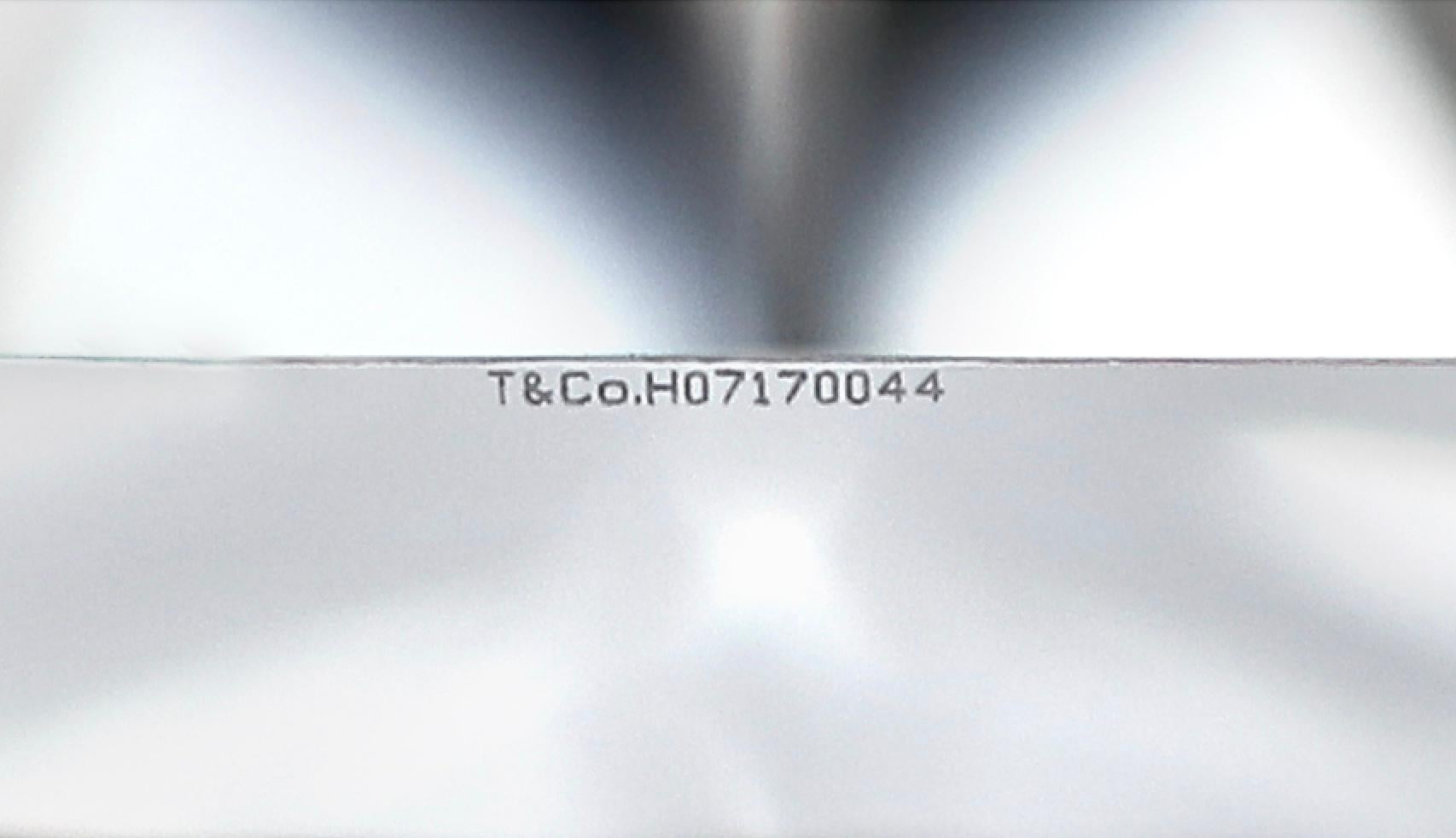 Tiffany and Co. Platinum Lucida Diamond Engagement Ring .31ct IVVS2 w/Receipt 4