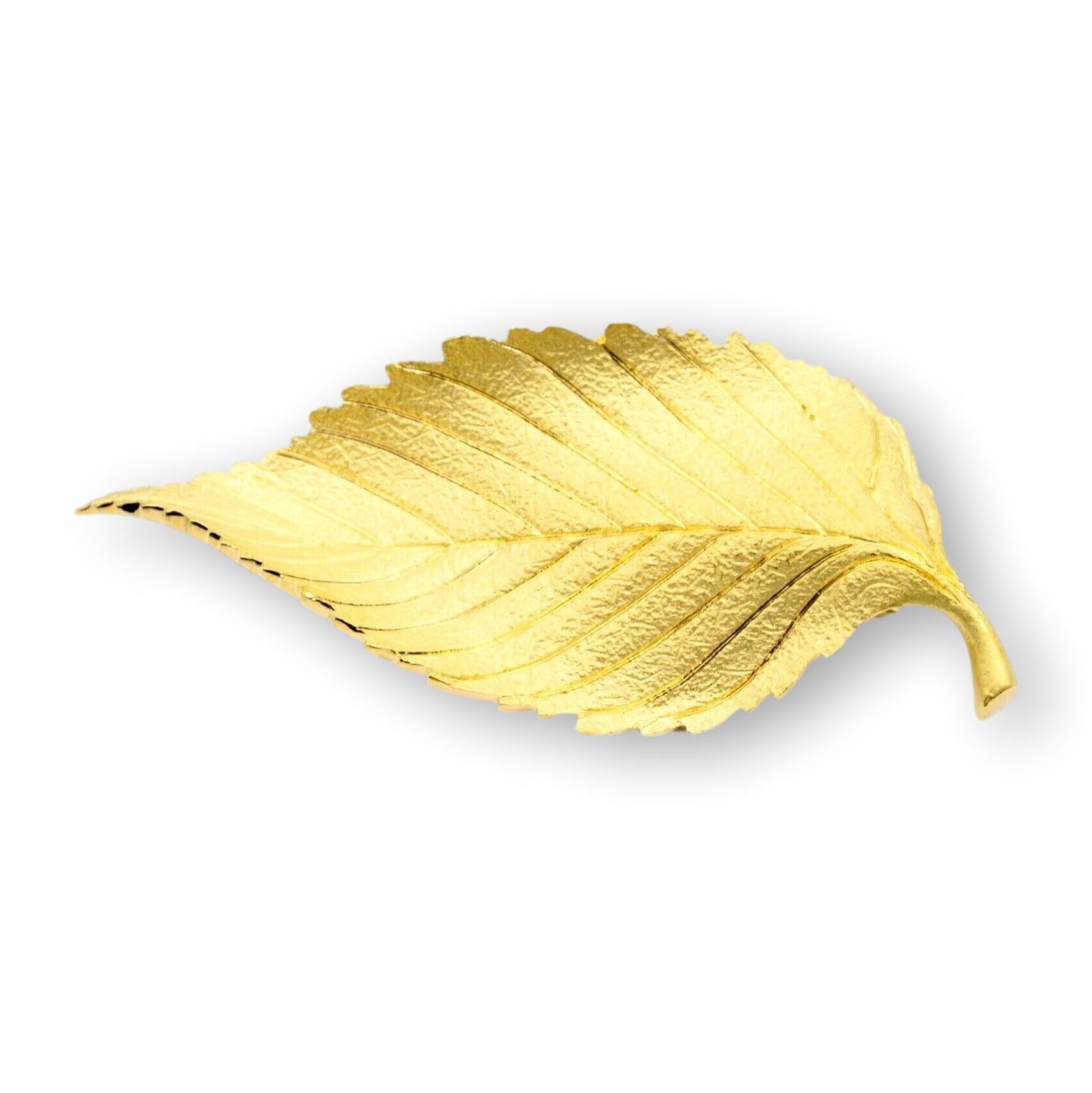 This elegant Tiffany & Co. Vintage Beech Leaf brooch is finely crafted in 18 Karat Yellow gold with a Florentine matte finish at the front and high polish gold at the back.

Stamp: Tiffany & Co. 750
Length: 2.0 cm
Width:1.0 cm
Weight: 10.8