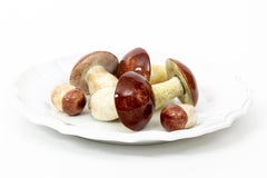 Tiffany and Co. Trompe L'Oeil Large Vintage Mushroom Plate