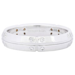 Tiffany & Co. 0.30 Carat Diamond 18 Karat White Gold Streamerica Band Ring
