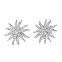 Tiffany & Co. 1.00 Carat Diamond Platinum Lace Sunburst Lever Back Earrings