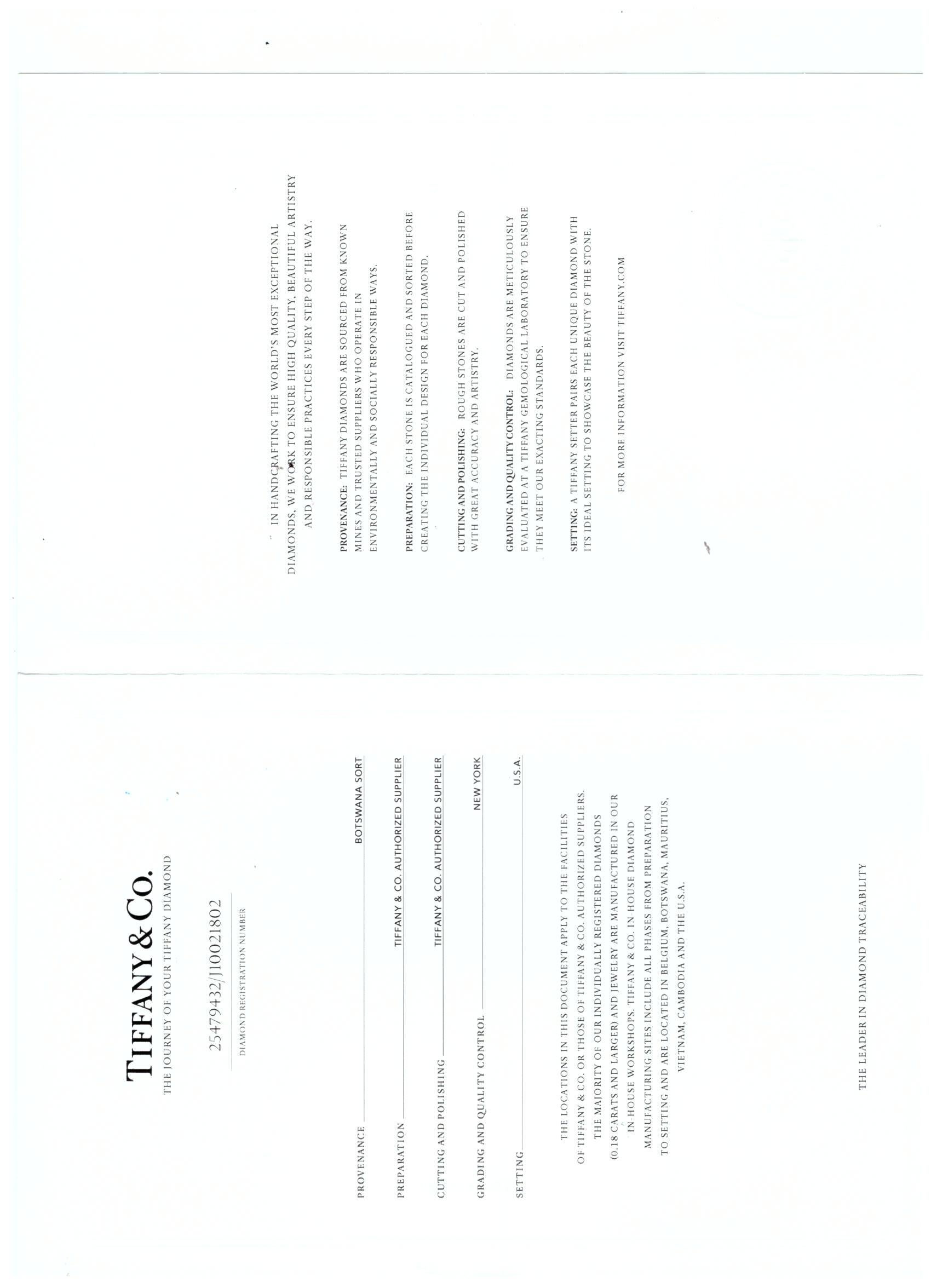 Tiffany & Co. 1,01 Carati Cuscino Brillante F VVS2 Diamante in Platino Anello aureola in vendita 6