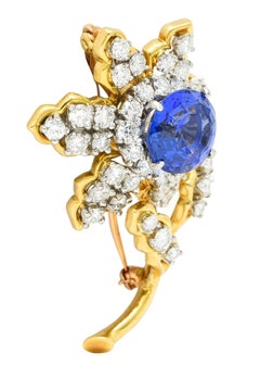 Tiffany & Co. 10.23 Carats Tanzanite Transitional Cut Diamond Platinum Brooch
