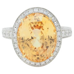 Tiffany & Co., bague halo de saphirs roses dorés de Ceylan, sans chaleur, 14,02 carats