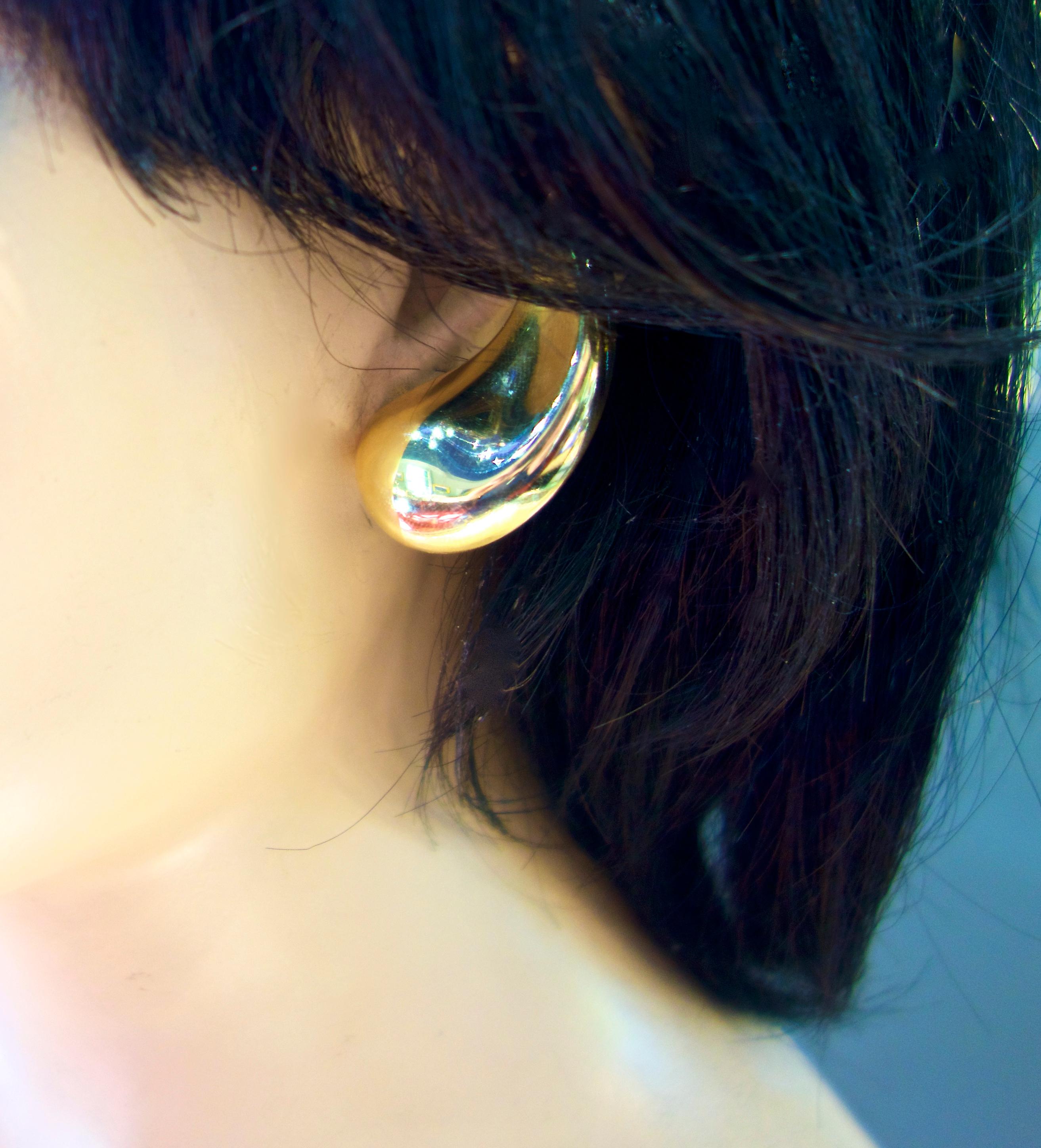 Tiffany & Co. 18 Karat Earrings 1