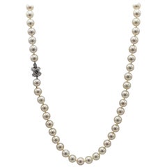 Tiffany & Co. Collier en or blanc 18 carats avec perles de culture Akoya