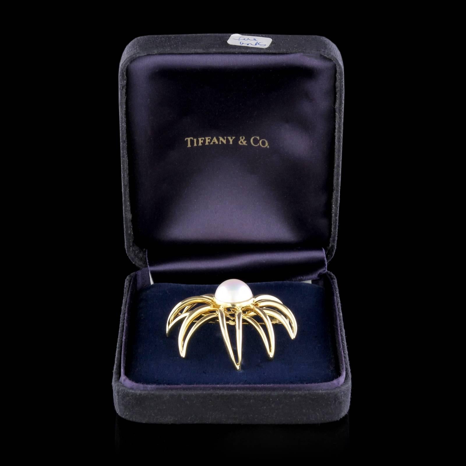 Tiffany & Co. 18 Karat Yellow Gold Mabe Pearl Fireworks Brooch For Sale 2