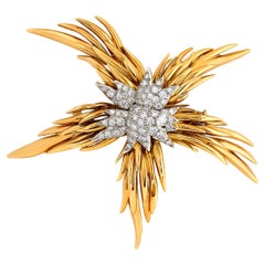 Tiffany & Co. 18 Karat Gelb & Platin Paris Flames Diamant Seestern Brosche